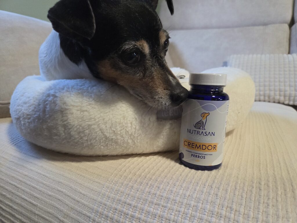 Imagen #1 de Iris González Ledesma