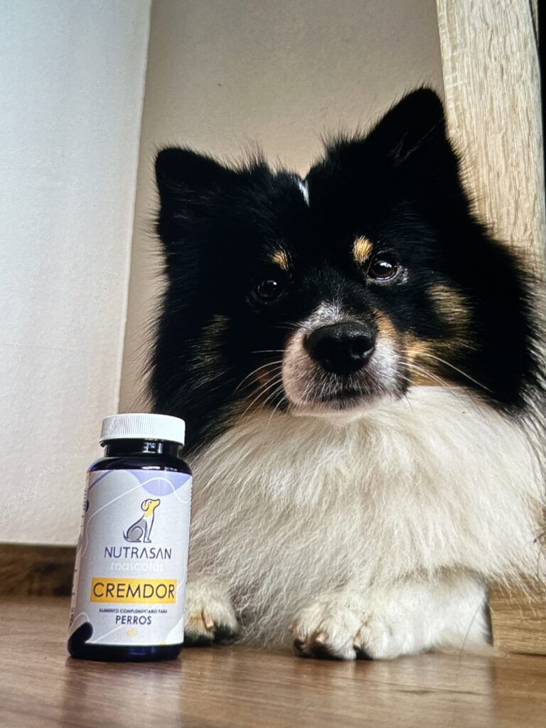 Imagen #1 de Tamara Veras prado