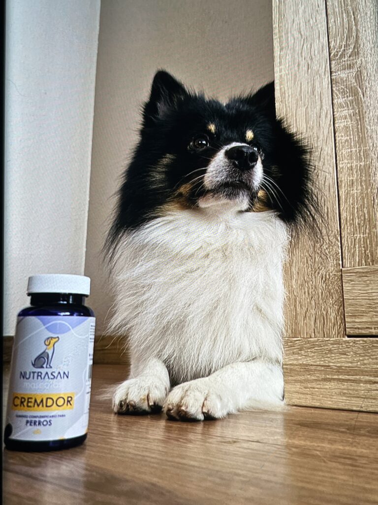 Imagen #2 de Tamara Veras prado