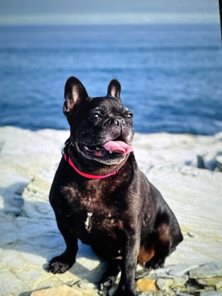 Imagen #1 de albumes-players0q